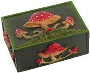 Box Mushroom