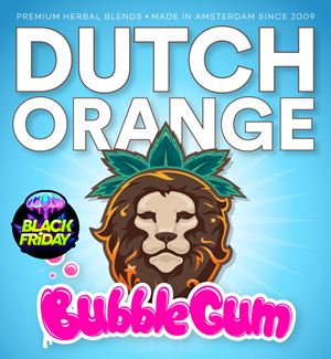 Dutch Orange Bubblegum