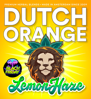 Dutch Orange Lemon Haze