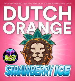 Dutch Orange Strawberry Ice