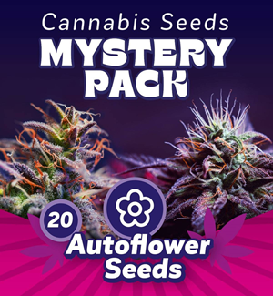 Mystery Seed Pack - Autoflower