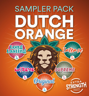  Dutch Orange - Pack D'échantillons 