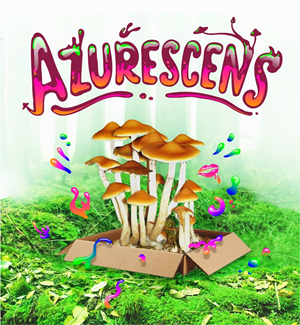 Azurescens - Kit De Cultivo Al Aire Libre