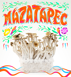 Mazatapec - Kit De Cultivo De Setas Mágicas