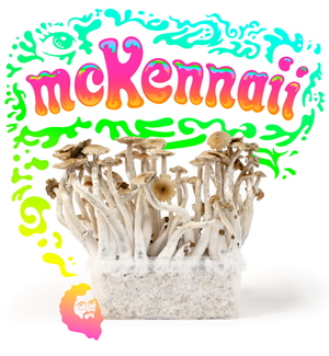 Mckennaii - Kit De Cultivo De Setas Mágicas