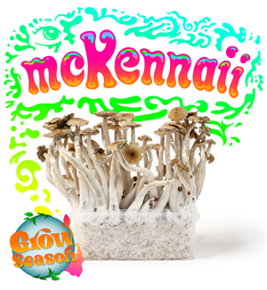 Mckennaii - Magic Mushroom Growkit