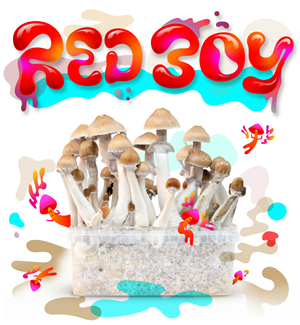 Red Boy - Magic Mushroom Growkit