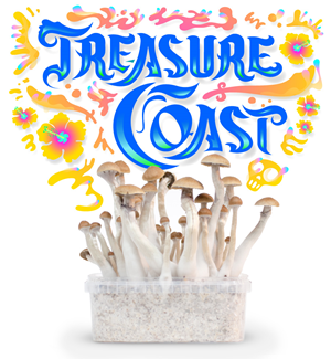 Treasure Coast - Kit Di Coltivazione Funghi Magici