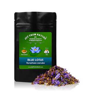 Lotus Bleu - Nymphaea Caerulea