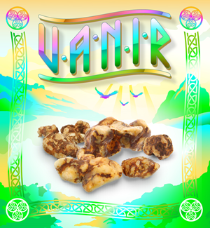 Vanir - Psilocybe Magic Truffles