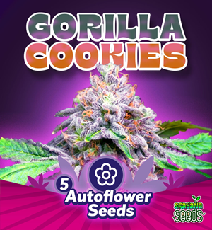 Gorilla Cookies - Autoflower