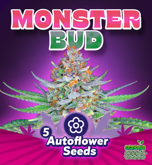 Monster Bud - Autoflower