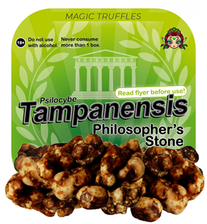 Psilocybe Tampanensis - Philosophers Stones 