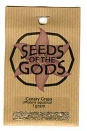 Canary Grass Seeds