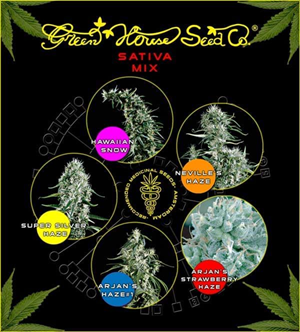 Green House Sativa Mix
