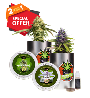 Igrowcan Cannabis Growkits - Special Offer