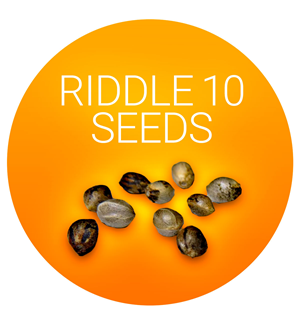 Riddle 10 Seeds