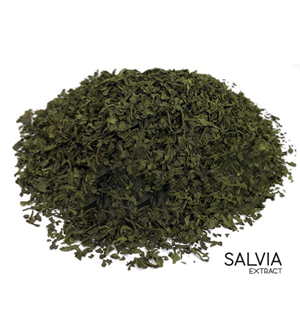 Salvia Div. 5X Extract