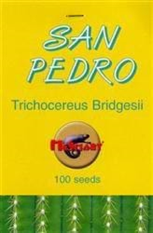 San Pedro - Trichocereus Bridgesii Seeds