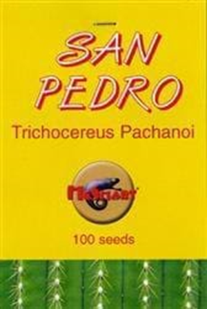 San Pedro - Trichocereus Pachanoi Seeds