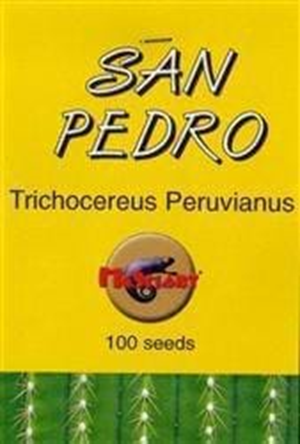 San Pedro - Trichocereus Peruvianus Seeds