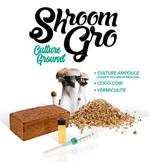 Shroomgro Culture Growset - Magic Mushrooms