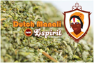 Dutch_Manali_Espirit_2.jpg Dutch Manali Espirit