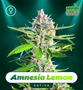Shayana_Seeds_Amnesia_Lemon_Fem.jpg Amnesia Lemon - auto & fem
