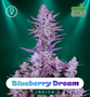 Shayana_Seeds_Blueberry_Dream_feminized.jpg Blueberry Dream - auto & fem