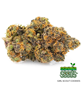 Shayana_Seeds_GSC_bud.jpg GIRL SCOUT COOKIES - feminised