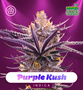 Shayana_Seeds_Purple_Kush_Auto.jpg Purple Kush - auto & fem