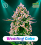 Shayana_Seeds_WEDDINGCAKE.jpg Wedding Cake - feminized