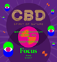 Spirit_of_Nature_CBD_Focus.jpg FOCUS CBD Oil 5% + Nootropics - Mind Boost